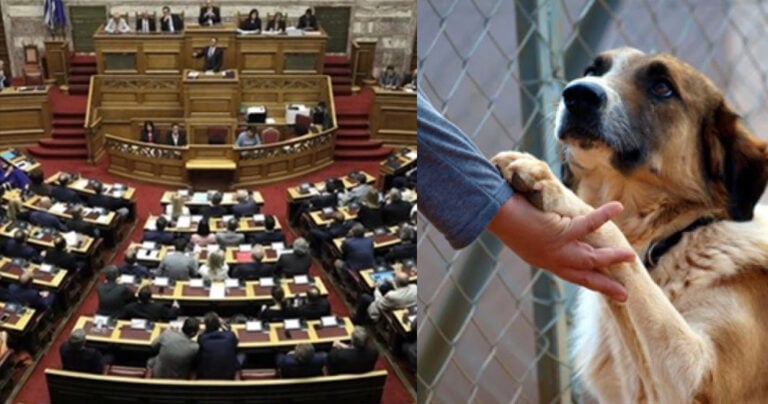 Βουλή: Ομόφωνο «ΝΑΙ» σε κακούργημα ο βασανισμός ζώων στην Ελλάδα