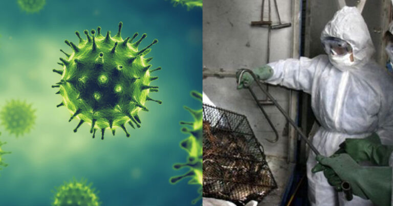 Έρχεται νέος θανατηφόρος ιός: Ο «Τσαπάρε» μεταδόθηκε στον άνθρωπο – Τι προκαλεί