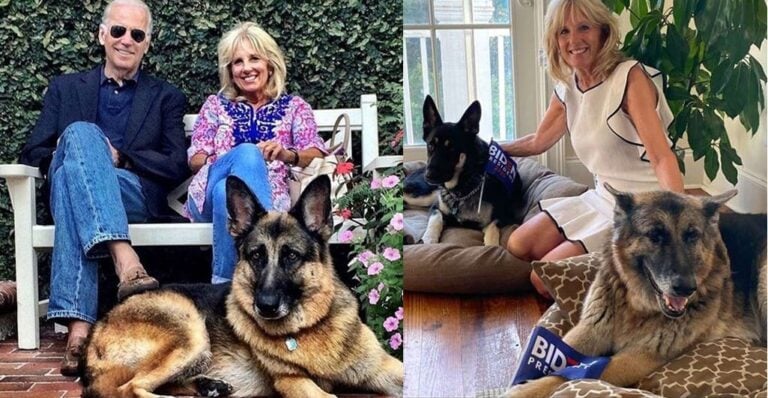 Eκλογές ΗΠΑ 2020: Ο Τραμπ φεύγει από τον Λευκό Οίκο, οι σκύλοι του Μπάιντεν έρχονται