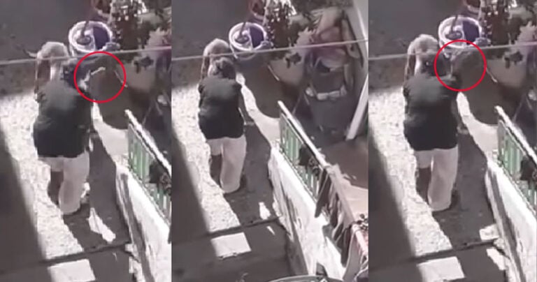 Ηράκλειο: Ηλικιωμένη σάπιζε στο ξύλο τον σκύλο της – Επενέβη η ΕΛ.ΑΣ