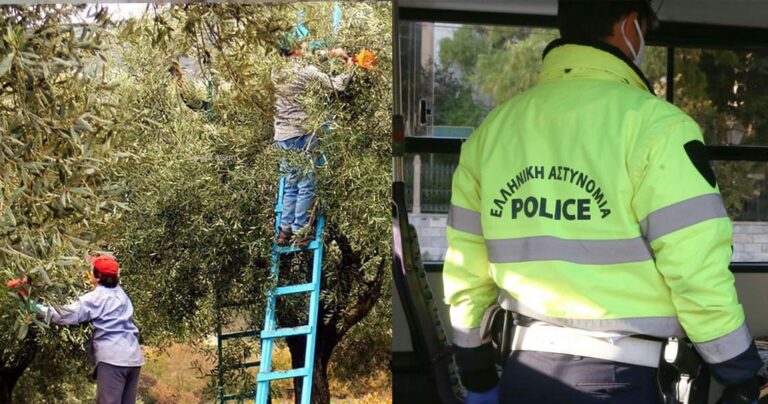 Πατέρας πήγε να μαζέψει ελιές μαζί με τους 2 γιους του και οι αστυνομικοί τους έριξαν 900 ευρώ πρόστιμο