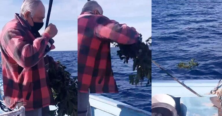 Έλληνας καπετάνιος ξεφτίλισε Τούρκους και εθνοφοβικούς ρίχνοντας στεφάνι στα Ίμια