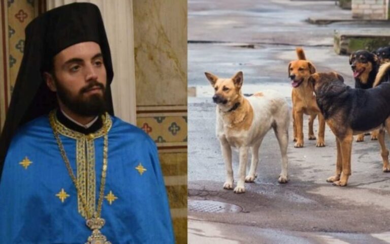 Αρχιμανδρίτης Χριστόδουλος: «Με τον πενιχρό μισθό μου αναλαμβάνω τα αδέσποτα, με τροφές, εμβόλια και στέγη»