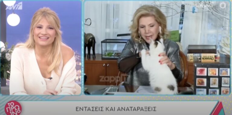 Ο γάτος της Λίτσας Πατέρα της επιτέθηκε και πέρασαν σε διαφημίσεις