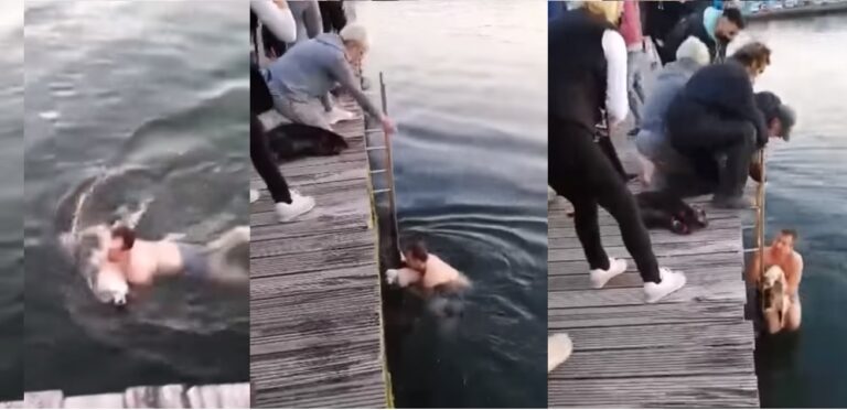 Θεσσαλονίκη: Νεαρός βούτηξε στον Θερμαϊκό για να σώσει τυφλό σκυλάκι