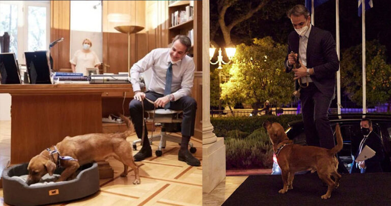 Ο Μητσοτάκης υιοθέτησε ένα αδέσποτο σκυλάκι – Το νέος μέλος του Μαξίμου ακούει στο όνομα Πίνατ