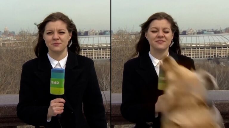 Σκύλος έκλεψε το μικρόφωνο ρεπόρτερ σε live μετάδοση