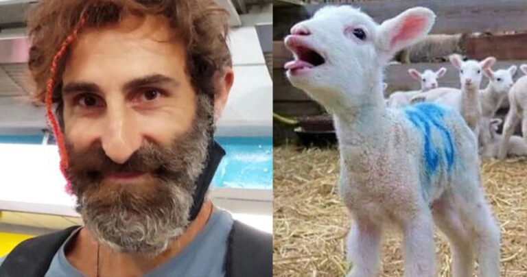 Γιώργος Κοψιδάς για τα αρνιά που σουβλίζουμε: «Είναι ένα μωρό 2 μηνών, έχει συναισθήματα δεν είμαι εμπόρευμα»