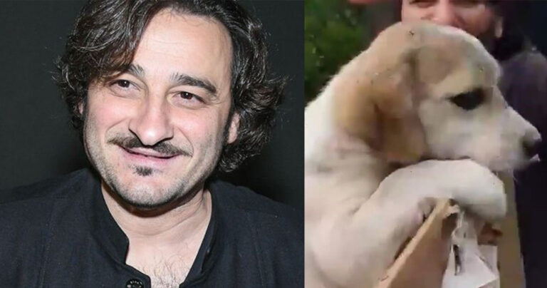 Βασίλης Χαραλαμπόπουλος: Μπήκε σε κάδο σκουπιδιών και έσωσε ένα κουτάβι