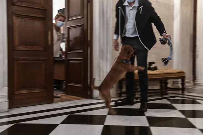 Ο Peanut... ξεσαλώνει στο Μέγαρο Μαξίμου: Το γαλάζιο παιχνίδι και οι απίστευτες πόζες 4 Peanut
