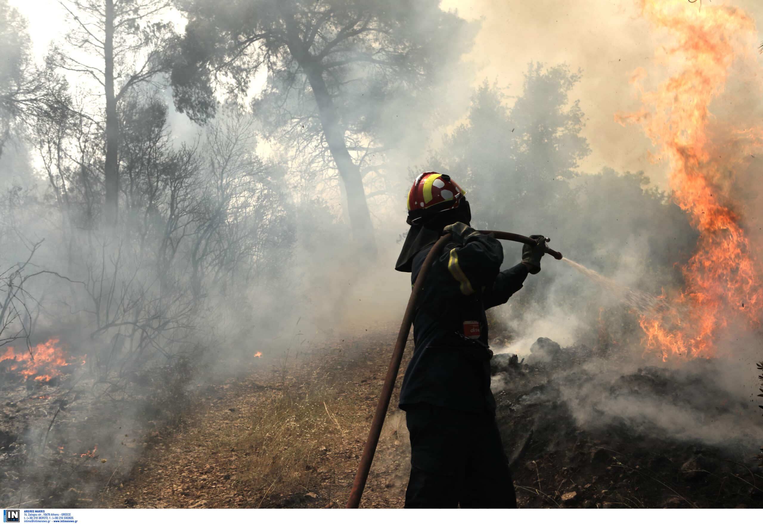 Φωτιά στην Κορινθία: Εκατοντάδες κάτοικοι εγκατέλειψαν τα σπίτια τους – «Τέτοια κόλαση δεν έχω ξαναδεί» 1 alepoxori300 scaled