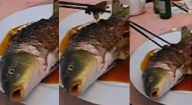 Κίνα: Σερβίρουν ψάρι με το κεφάλι ωμό για να κινεί στόμα και μάτια ενώ το τρώνε