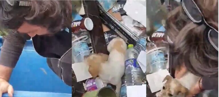 Ο Βασίλης Χαραλαμπόπουλος έσωσε κουτάβι που βρήκε πεταμένο σε κάδο σκουπιδιών