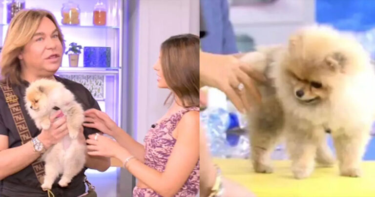 Το σκυλάκι του Τρύφωνα Σαμαρά τα έκανε στο πλατό της εκπομπής «Happy Day»