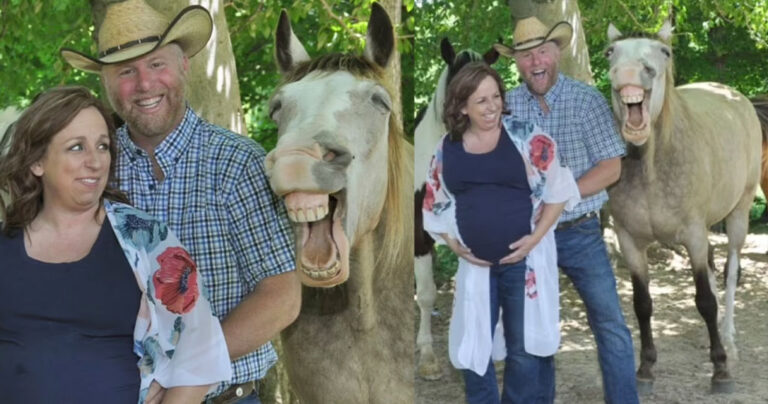 Άλογο συμμετείχε σε φωτογράφιση ζευγαριού κάνοντας απίστευτες γκριμάτσες