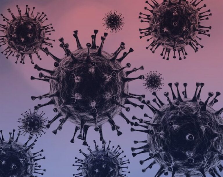 Νοσηλεύεται στη ΜΕΘ ο πρώτος ασθενής με μετάλλαξη Δέλτα – Ιερομόναχος από το Άγιον Όρος