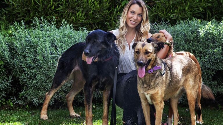 Κατρίνα Τσάνταλη: Η φωτιά έκαψε το καταφύγιο ζώων της στο Πολυδένδρι – Η συγκινητική ανάρτηση