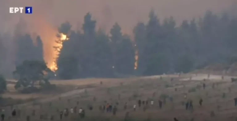 Εύβοια: Κάτοικοι και εθελοντές σχηματίζουν ανθρώπινη αλυσίδα απέναντι στη φωτιά