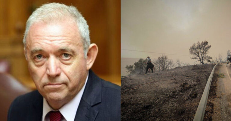 Λέκκας: «Σε 10 χρόνια θα ανακάμψουν οι περιοχές από τις φωτιές»