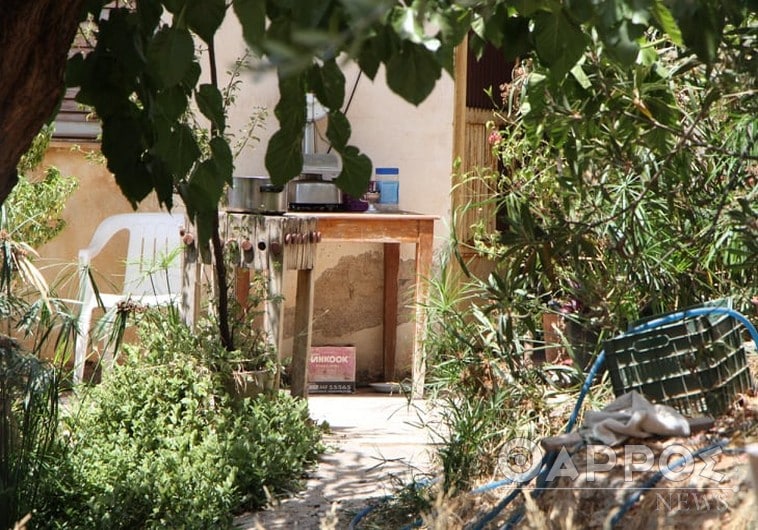 dolofonia mantineia 2