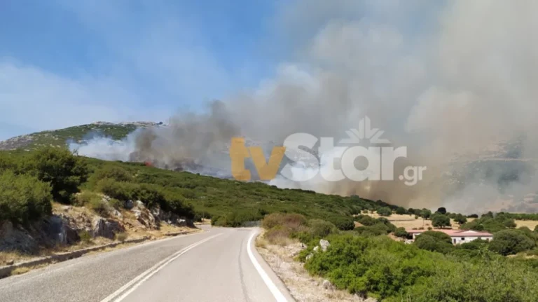 Φωτιά στη Νότια Εύβοια – Η πυρκαγιά καίει αγροτοδασική έκταση