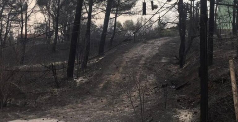 Φωτιά στην Αττική: Εντοπίστηκε εκρηκτικός μηχανισμός στην Πάρνηθα, προσήχθη ύποπτος