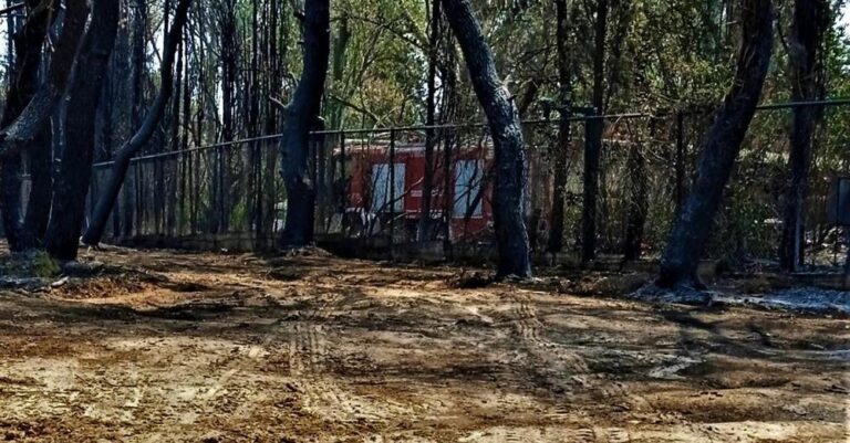 «Είμαστε εδώ για τον…»: Καταγγελία πυρόπληκτης για επιλεκτική προστασία της Πυροσβεστικής σε σπίτι επιχειρηματία