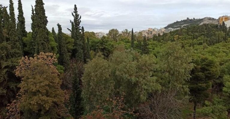 Γκύζη: Σύλληψη για απόπειρα εμπρησμού στο άλσος Φινοπούλου