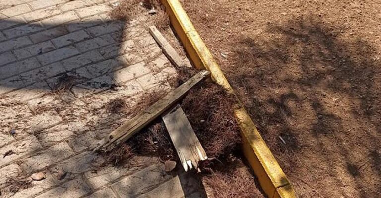 Τρεις νεαροί προσπάθησαν να βάλουν φωτιά σε άλσος στο Πέραμα