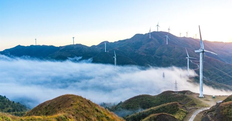 Επικεφαλής της WWF αποδομεί όσα ακούγονται για τις φωτιές στην Εύβοια και τις ανεμογεννήτριες