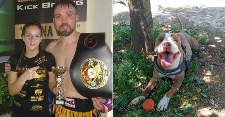 «Το πίτμπουλ δάγκωσε τον αστυνομικό στον μηρό» λέει η ΕΛ.ΑΣ. – «Είχε γκλοπ άλλα πυροβόλησε» λέει η ιδιοκτήτρια