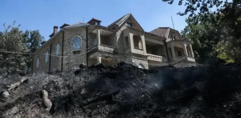 Κτήμα Τατοΐου: Ξεκινά άμεσα η αναδάσωσή του