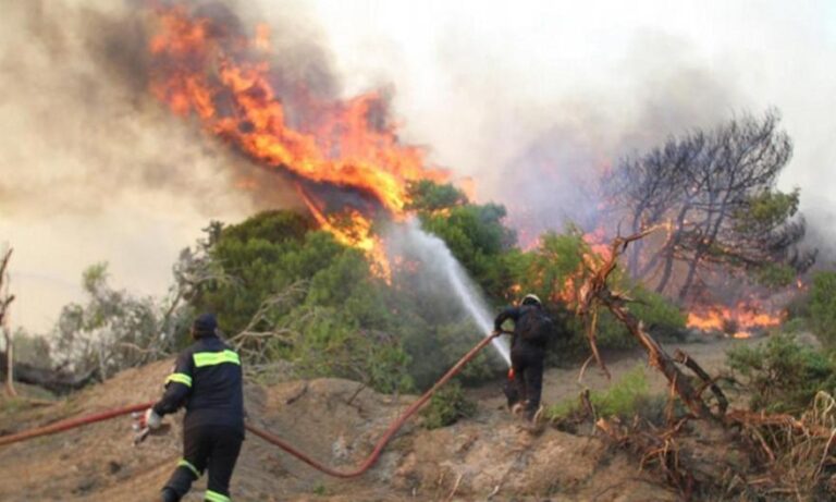 Φωτιά στο Σούνιο – Νέος συναγερμός στην Πυροσβεστική