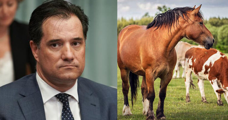 Άδωνις: «O Πολάκης μου πρότεινε φάρμακο για άλογα και αγελάδες»