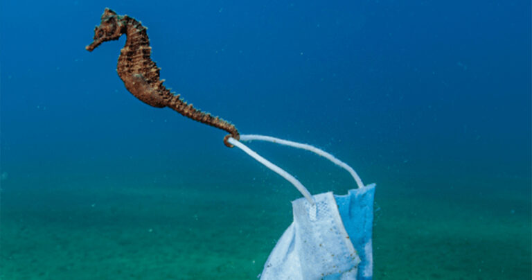 Η συγκλονιστική φωτογραφία από το Στρατώνι Χαλκιδικής που διεκδικεί παγκόσμιο βραβείο