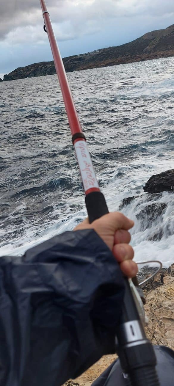 211028204639 psarema giorgos 0 585x1298 1