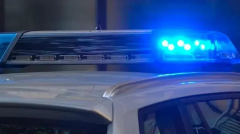 Θρίλερ στην Πέλλα: Γυναίκα βρέθηκε κρεμασμένη σε δέντρο
