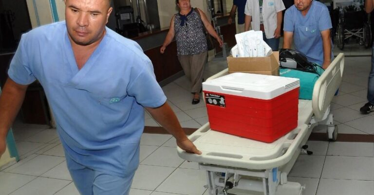 Πρωτοφανές εγχείρημα: Συνέδεσαν νεφρό από χοίρο σε άνθρωπο – Λειτουργεί κανονικά