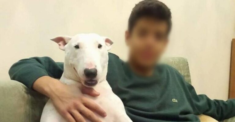 Οικογενειακή τραγωδία στην Κρήτη: Μητέρα πέθανε μια εβδομάδα μετά τον χαμό του 20χρονου γιου της