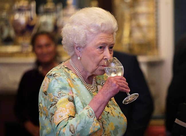 the queen wine z