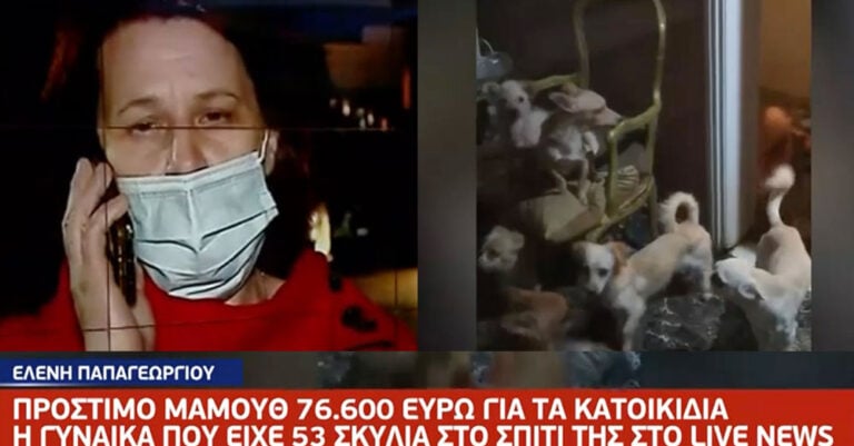 Πάτρα: Σοκάρει το βίντεο με τα 53 «φυλακισμένα» σκυλιά μέσα σε διαμέρισμα – Πρόστιμο 76.600 ευρώ στην ιδιοκτήτρια