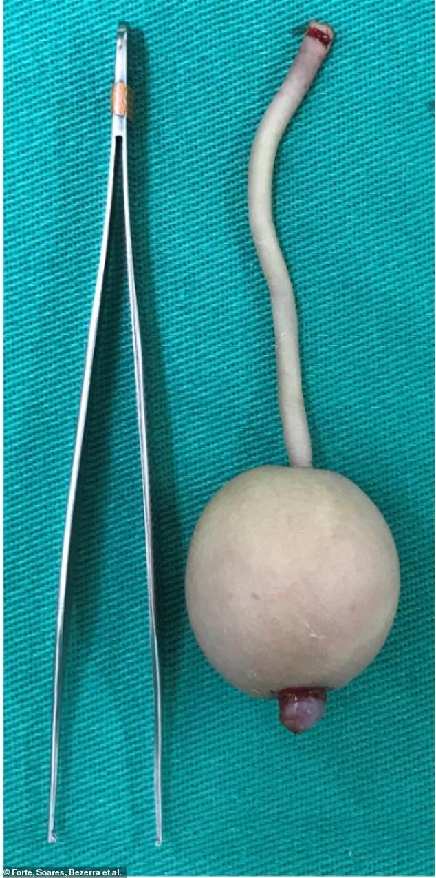 48002987 9997843 image a 3 1631802478327