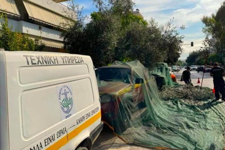 Στη Γλυφάδα κάνουν λιομάζωμα στους δρόμους και βγάζουν ελαιόλαδο