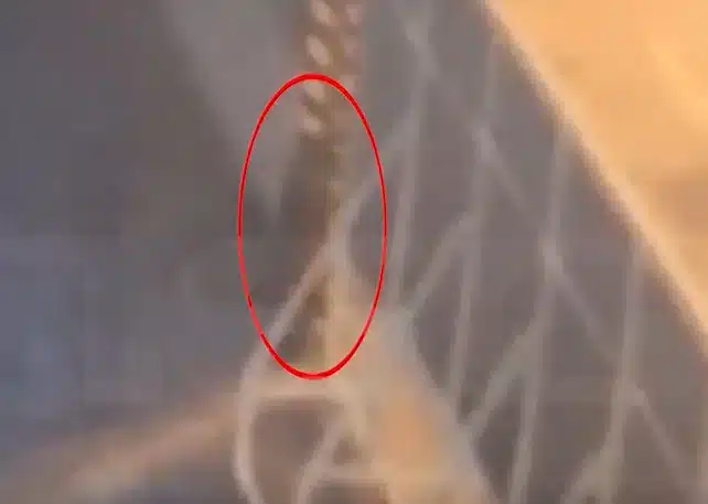 Κερατσίνι: Συγκλονιστικό βίντεο ντοκουμέντο με τις στιγμές πριν τον φρικτό θάνατο της 8χρονης 3 m3