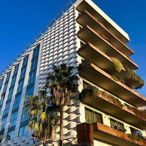 86796336 731823980678021 1596377346070282240 n