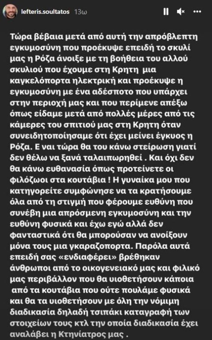 Βάσω Λασκαράκη: Η φωτογραφία της με τα νεογέννητα κουτάβια που προκάλεσε θύελλα αντιδράσεων 7 soultatos3