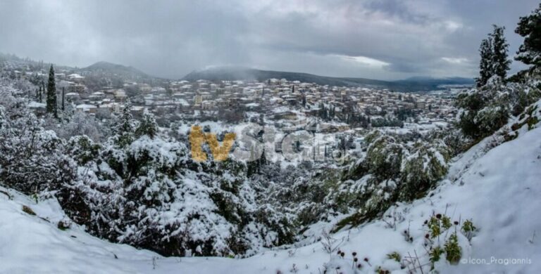 Δαύλεια – Λιβαδειά: Νεκρός 65χρονος στην προσπάθειά του να αποχιονίσει το σπίτι του