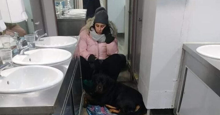 Βόλος: Ταξίδεψε μαζί με το σκύλο της στην τουαλέτα του πλοίου