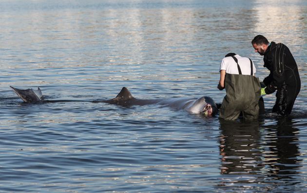 61f3ad3a270000d403456e32