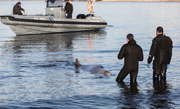 61f3ad4d2500007e032b0a89